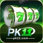 pk11-game