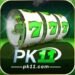 pk11-game