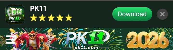 pk11-game