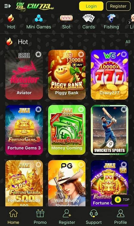 cw773-game